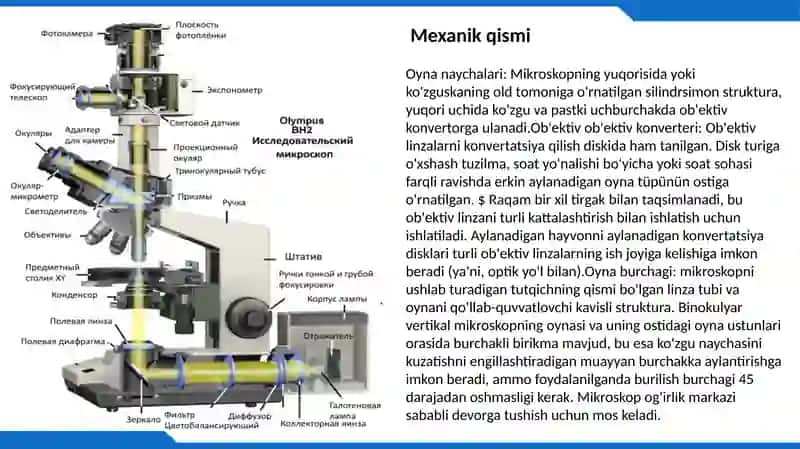 Optik mikraskop tuzilishi va Biologik tadqiqotlar 4