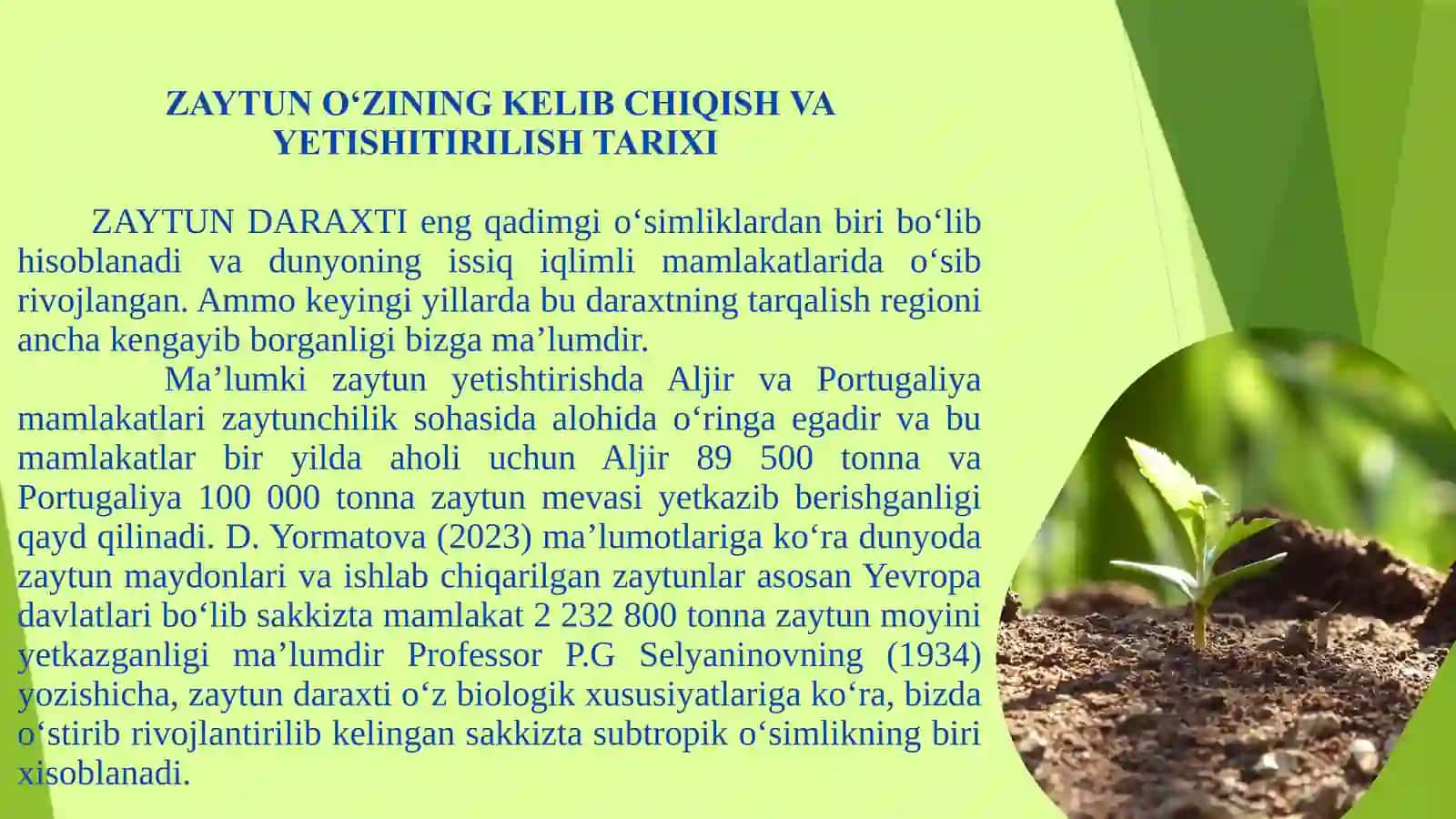 ZAYTUN (OLEA EUROPAEA L.) O‘SIMLIGINING KO’CHATCHILIGI 4