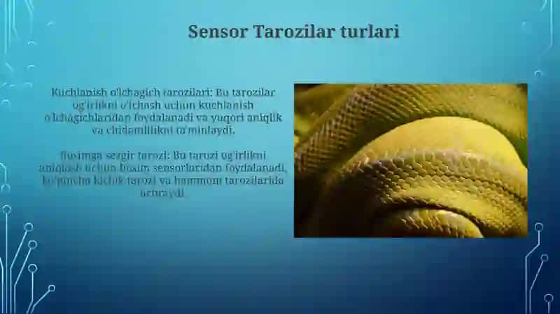 Sensor shkalalar 4