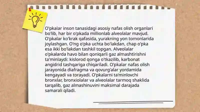 Nafas a'zolari tizimi 4