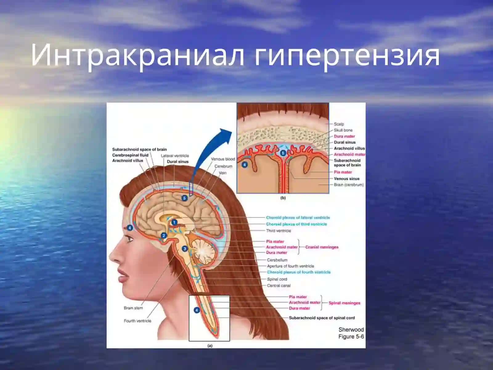 Психосоматик тиббиёт: Псевдоневрологик синдромлар(боши) 4