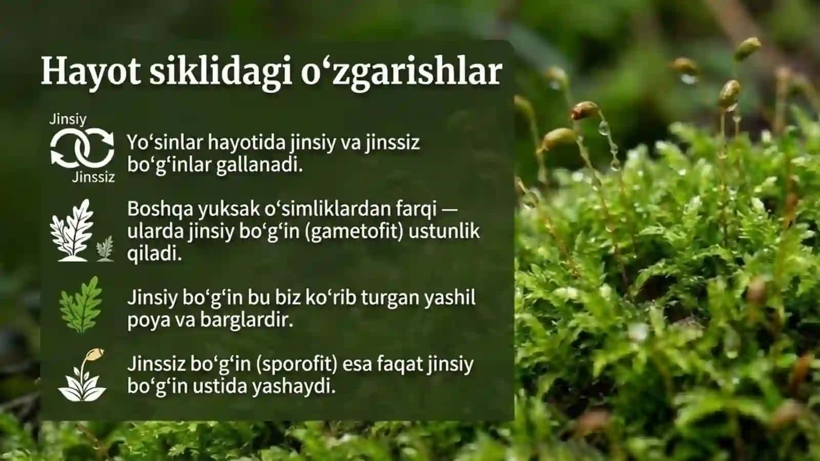 Yo'sinlar bo'limi 4