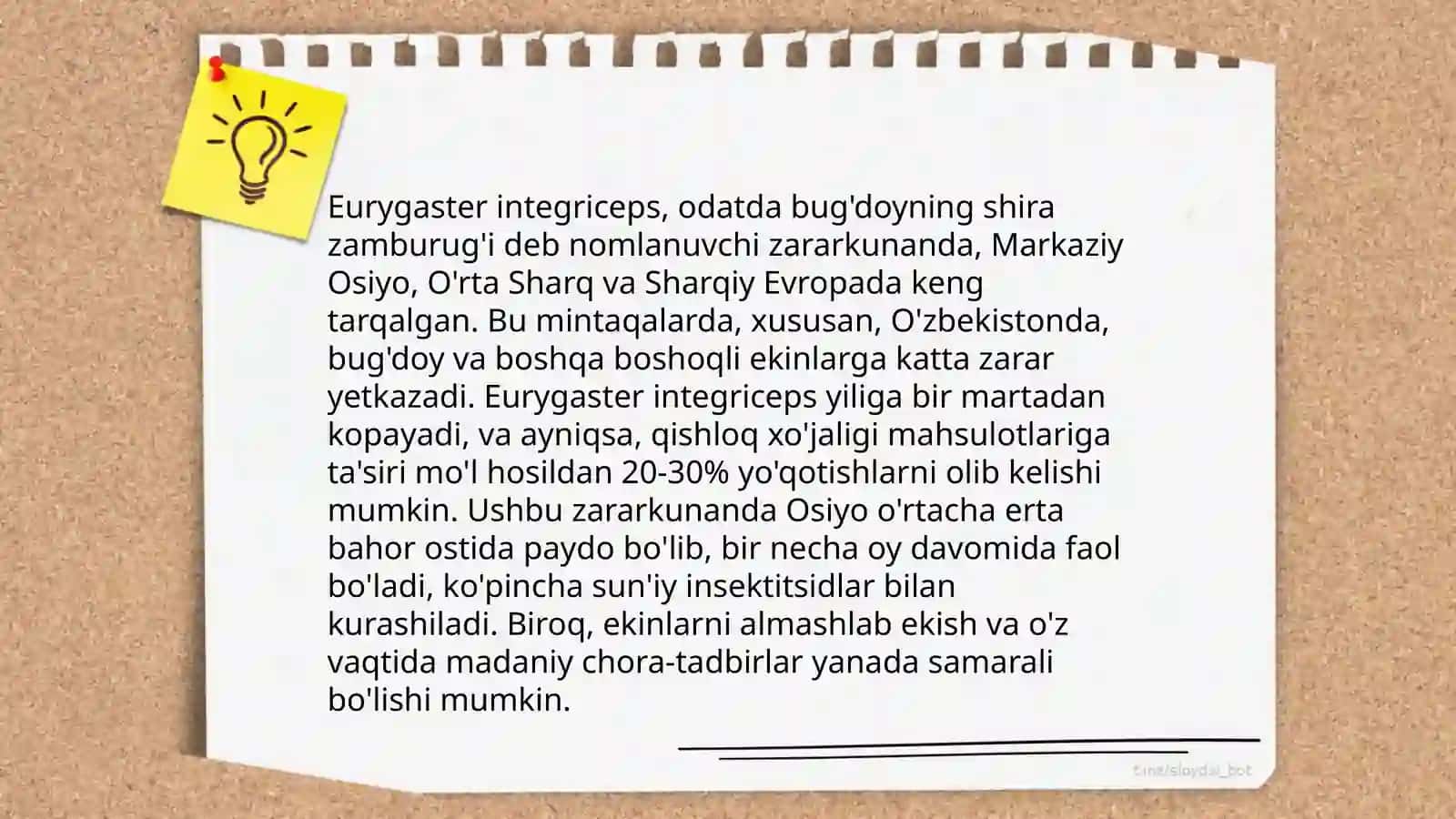 Eurygaster integriceps yirtqich-o'lja munosabatlari 4