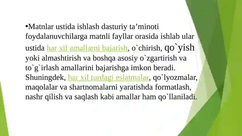 MATNLI MA’LUMOTLARNI QAYTA ISHLASH DASTURLARINING IMKONIYATLARI 4