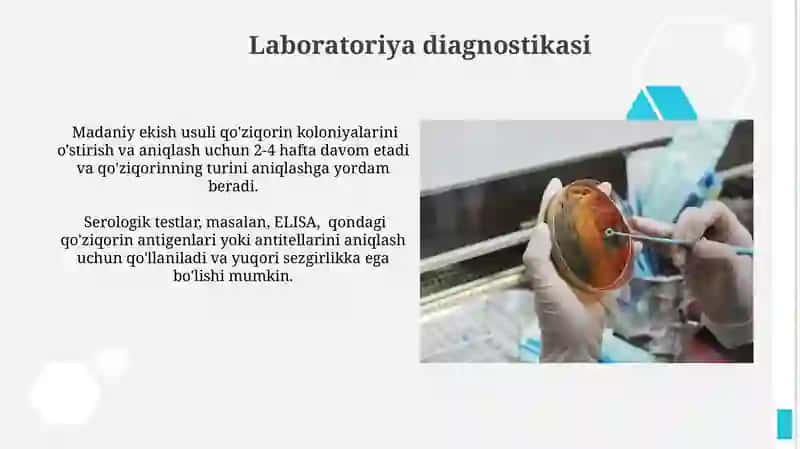 Zambarli kasalliklarning qo'zg'atuvchilari 4
