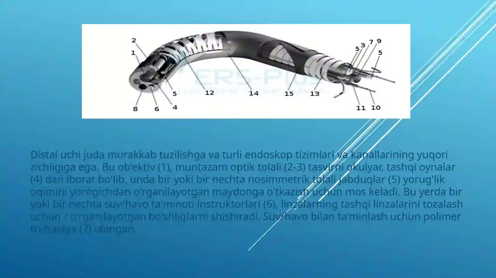 Fibrokolonoskop gastrointestinal tizimning pastki qismini tekshirishga imkon beruvchi endoskopik qurilma 4