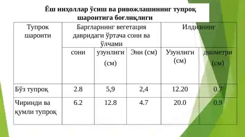 Интродуцент ўсимликлар интродукцияси 4