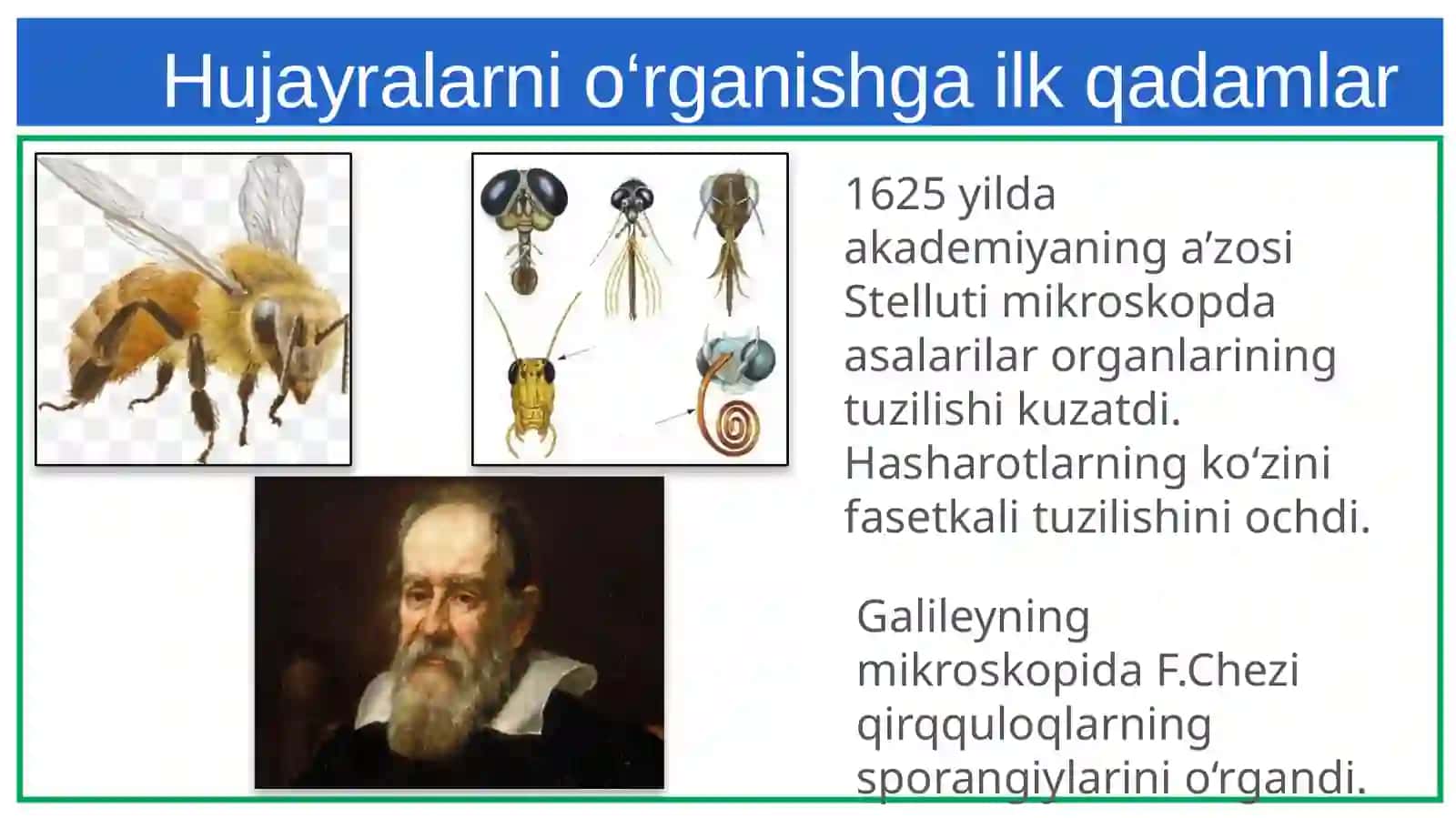 Hujayrani o‘rganish tarixi va hujayra nazariyasi 4