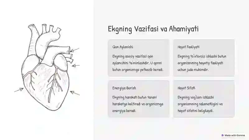 Yangi Tug'ilgan Chaqaloqlarda Ekgning Rivojlanishi 4