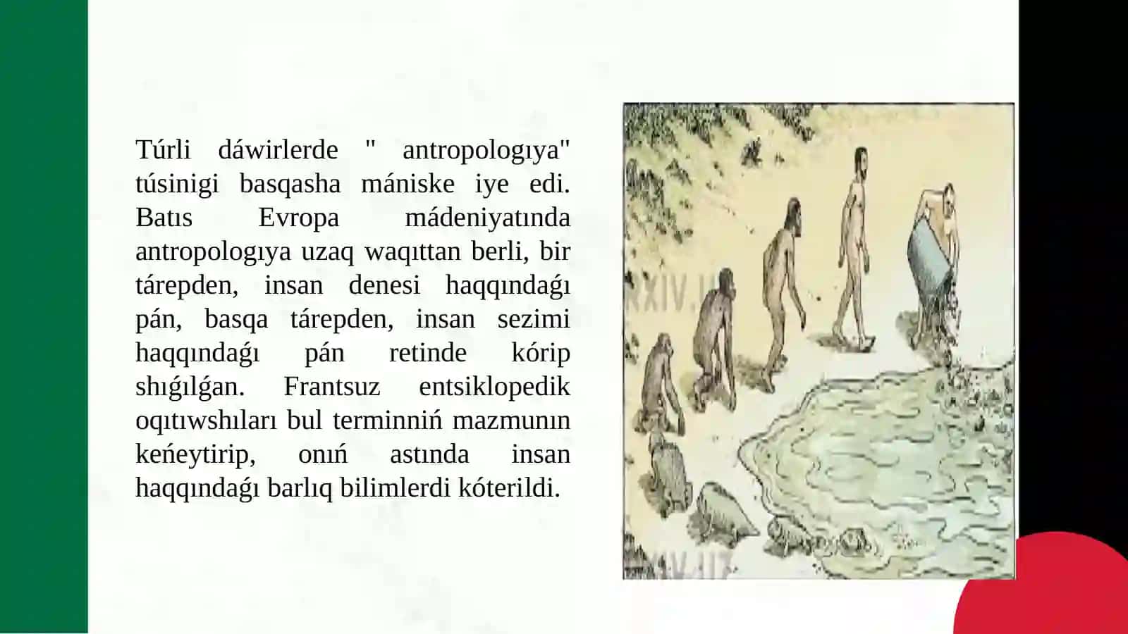 Adamnıń payda bolıwı haqqındaǵı zamanagóy qaraslar 4