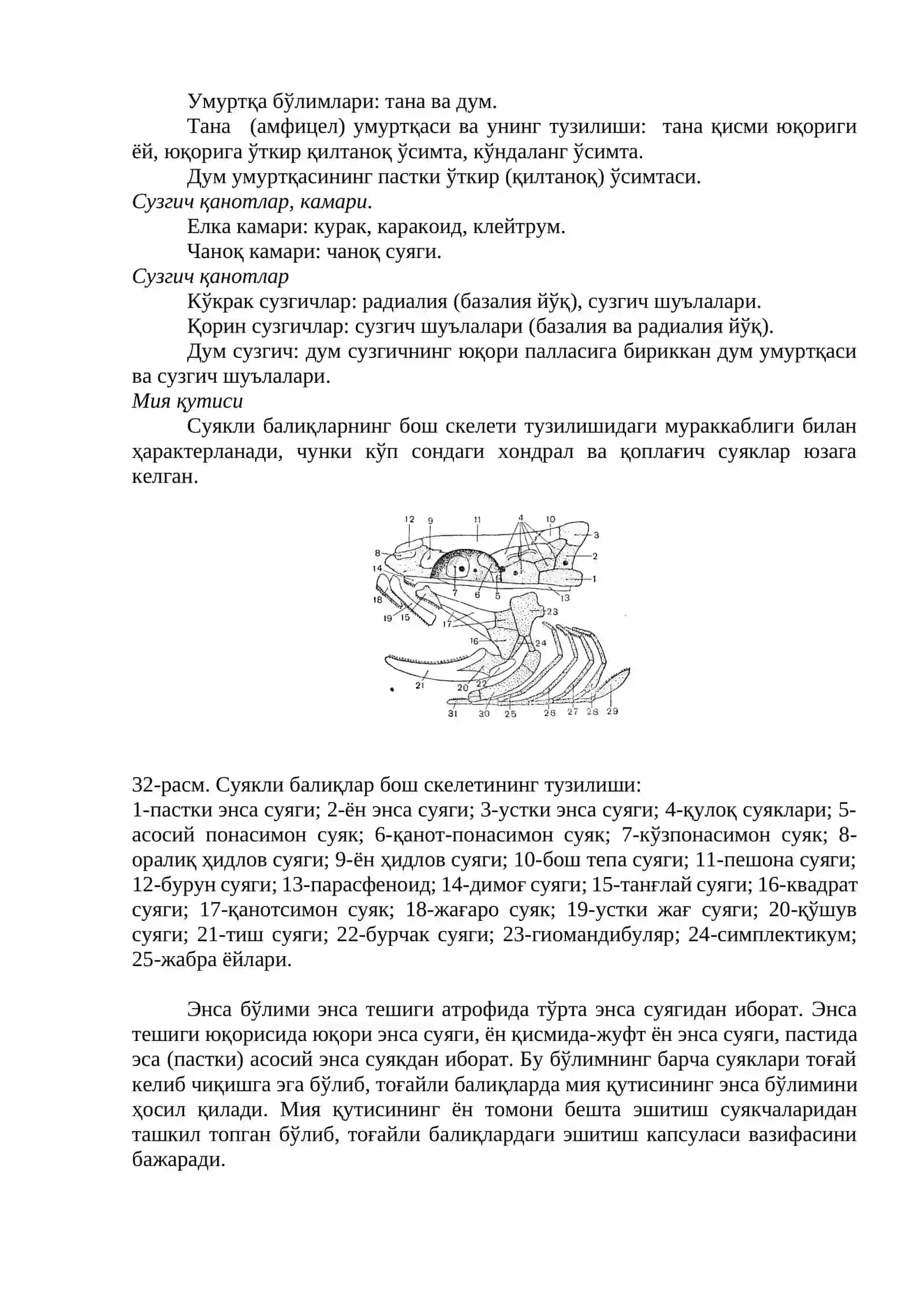 Тирик балиқ 4