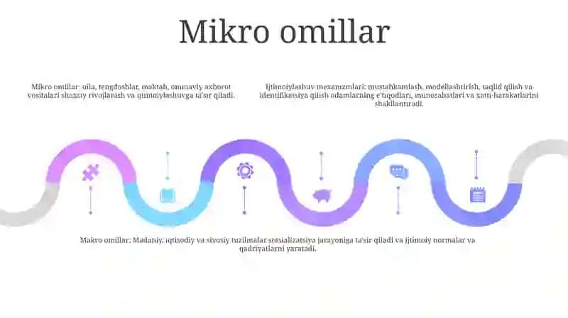 Ijtimoiylashtirishning Omillari (Makro, Mezo Va Mikro Omillar) Va Mexanizmlari 4