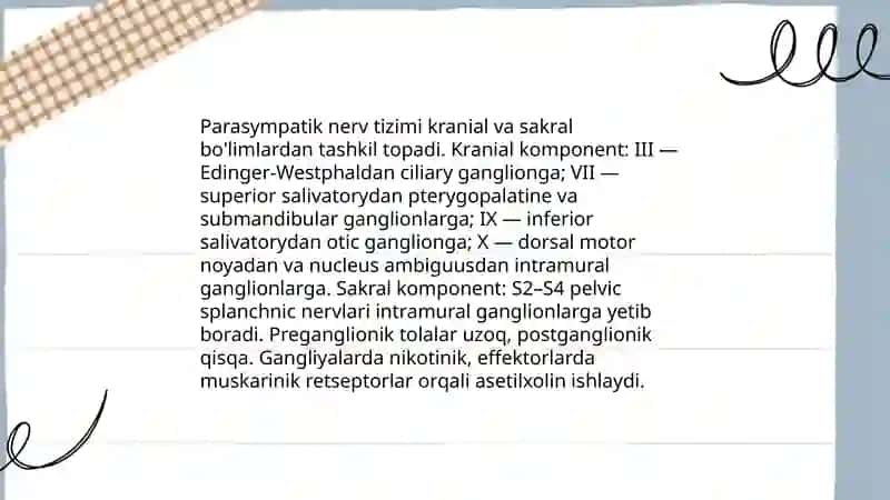 Simpatik parasimpatik va metasimpatik nerv tizimlari 4