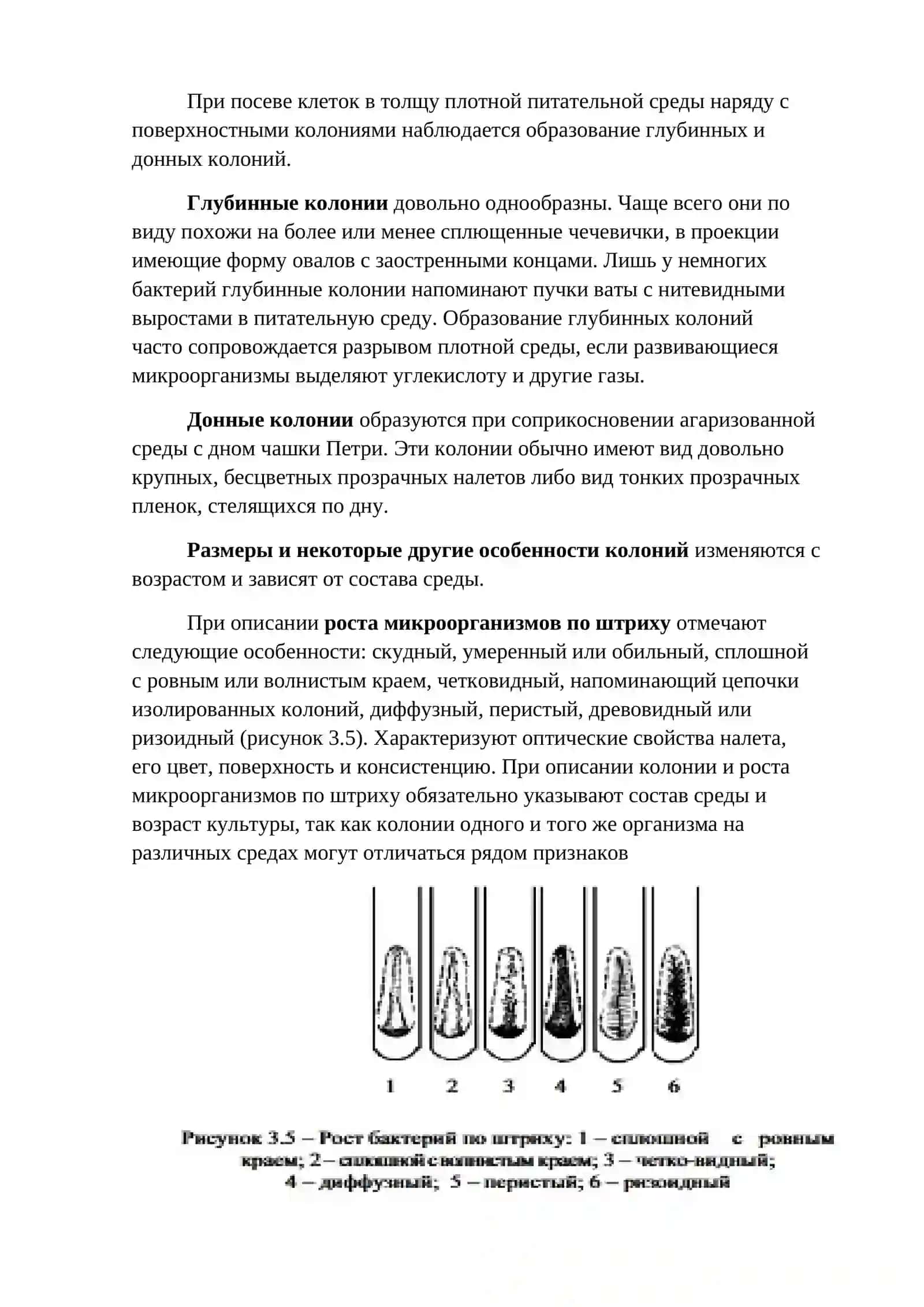 РОСТ И РАЗМ НОЖ ЕНИЕ БАКТЕРИЙ. КОЛОНИИ МИКРООРГАНИЗМОВ. ПИГМЕНТООБРАЗОВАНИЕ 4