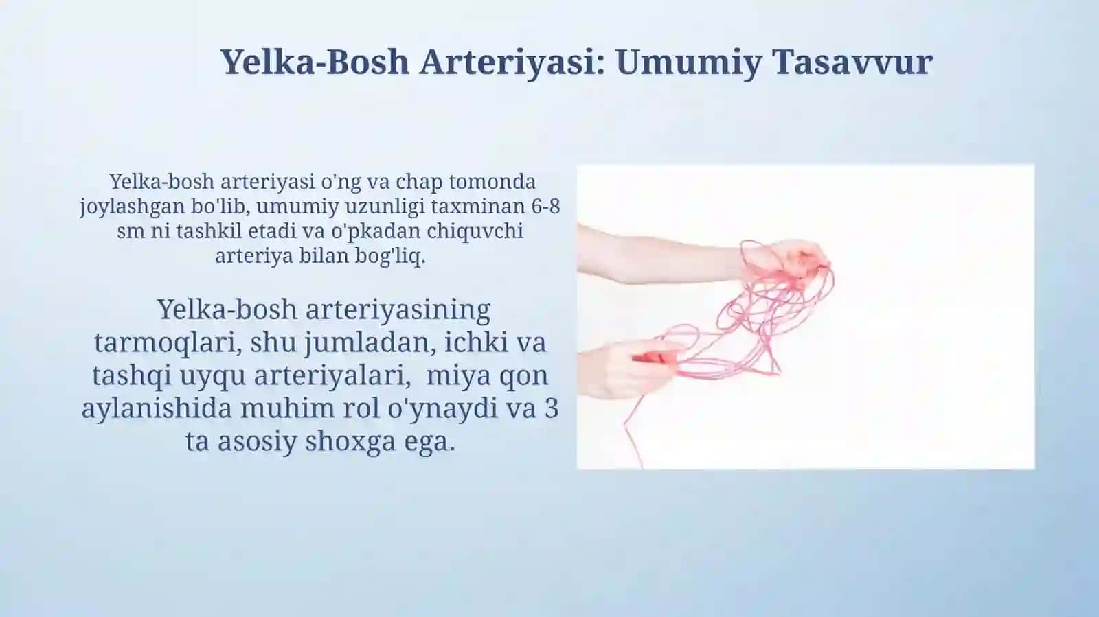 Subklaviya Arteriyasi, Qo'l Qon Tomirlari, Yelka-Bosh Arteriyasi 4