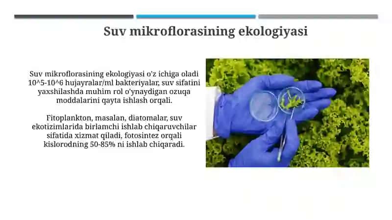 Mikroorganizmlar Ekologiyasi 4