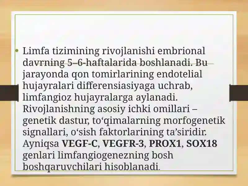 Limfa tomirlarningrivochlanishiga va tuzilishiga ichtimoviy va bialogik muxitlarning tasiri 4