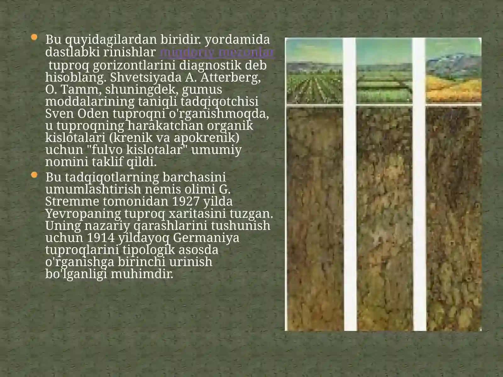 Abjalilov Botirning Tuproqshunoslik va Agrokimyo Fanidan Tayyorlagan Taqdimot Ishi 4