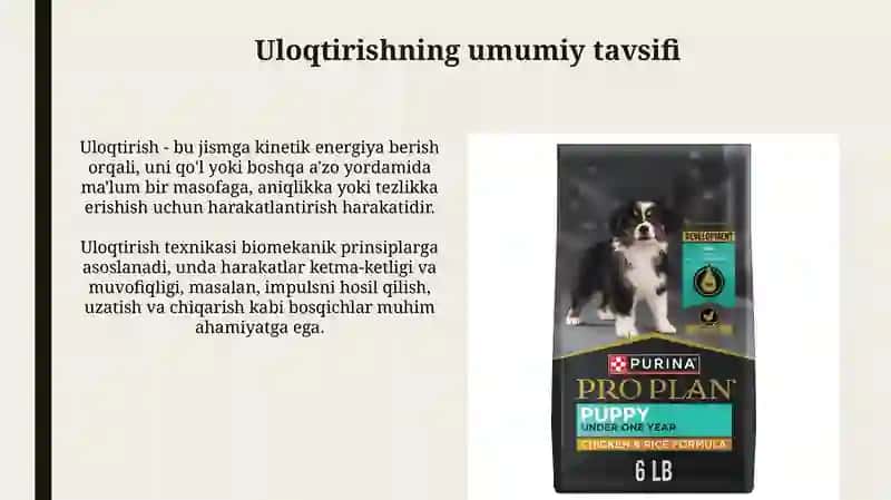 Uloqtirish turlarining umumiy tavsifi, tasnifi va rivojlanishbosqichlari 4