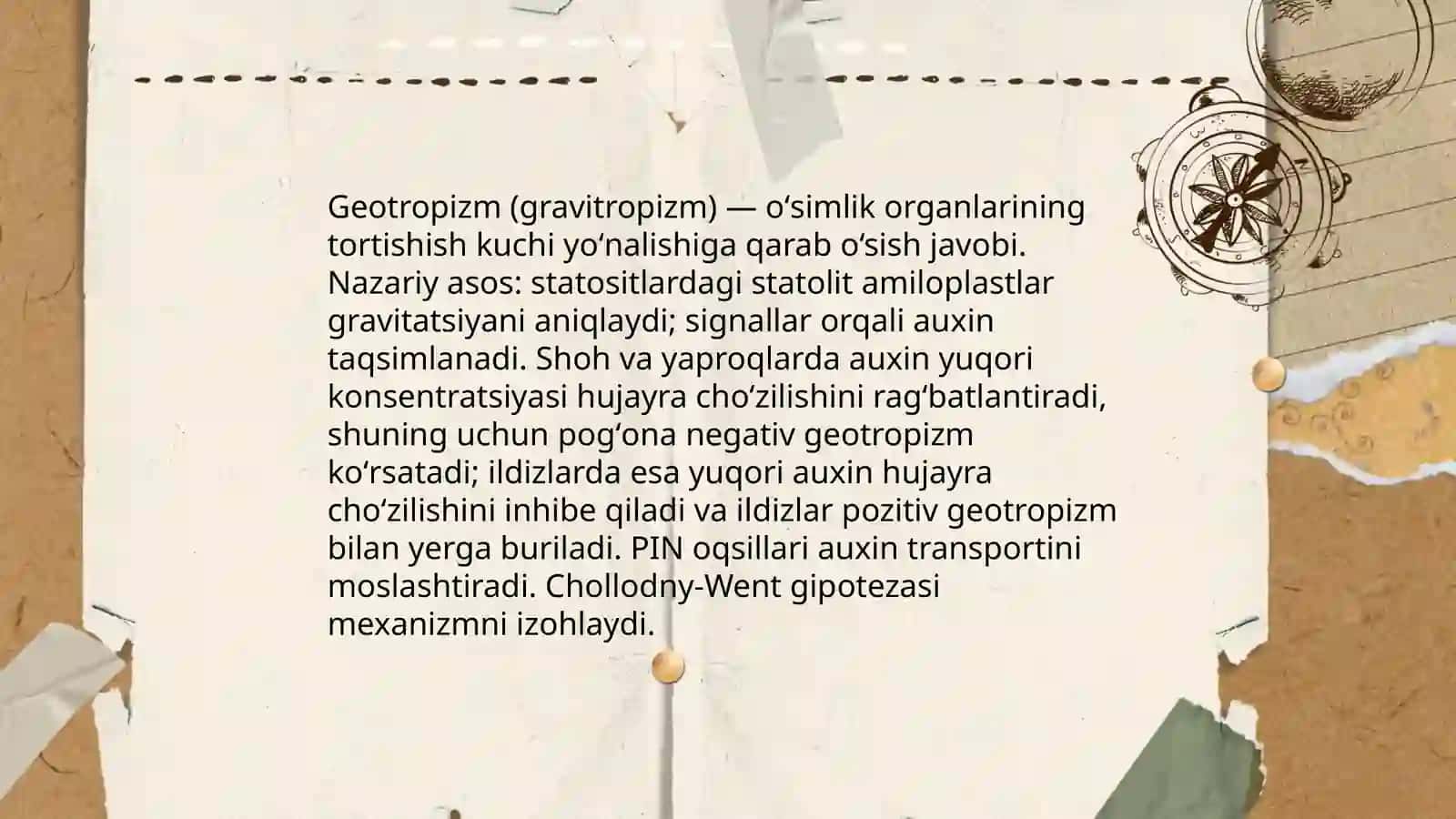 Oʻsimliklarda fototropizm fotonaatiya va geotropizm hodisalarini kuzatish 4