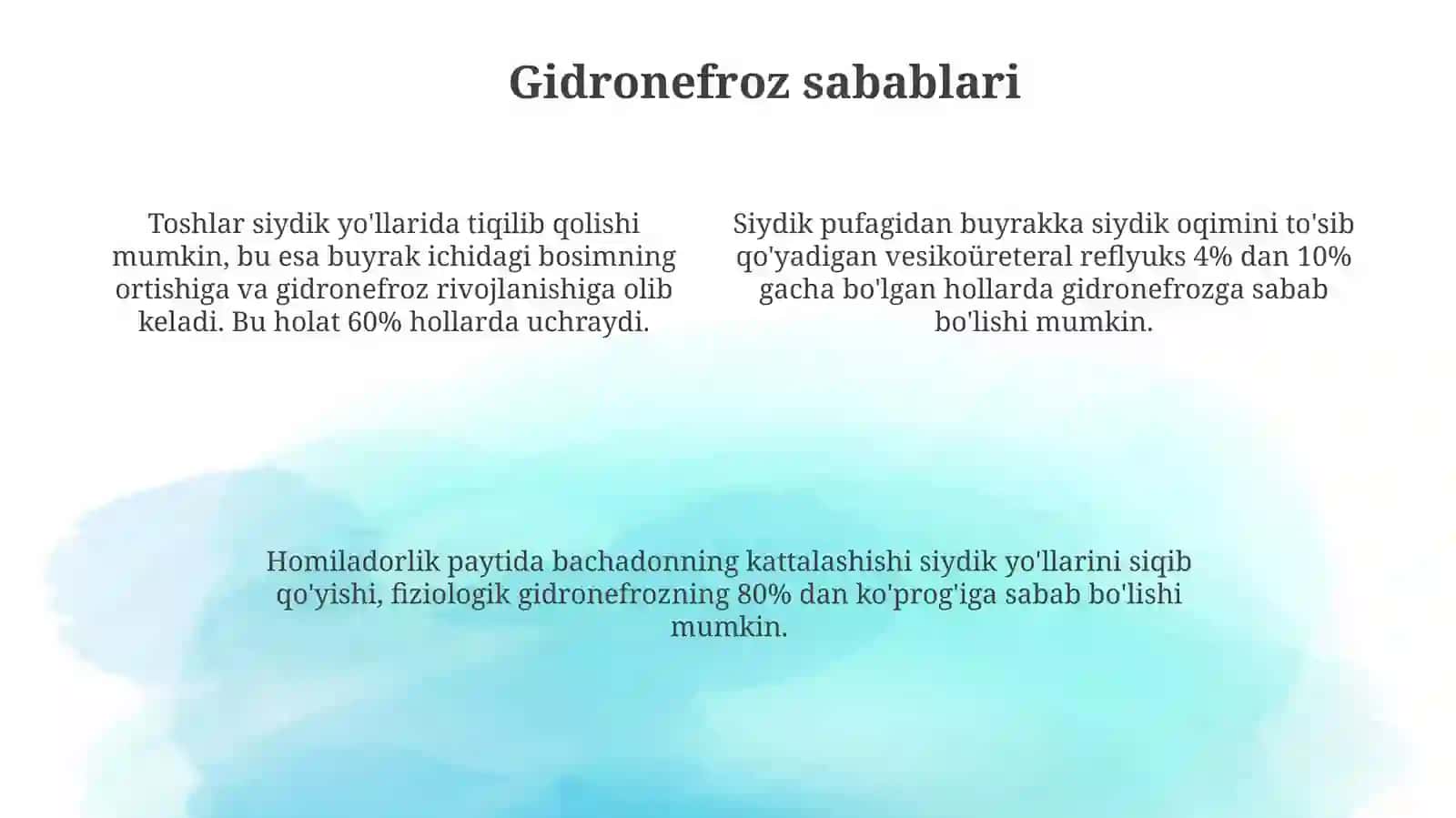 Gidronefroz 4