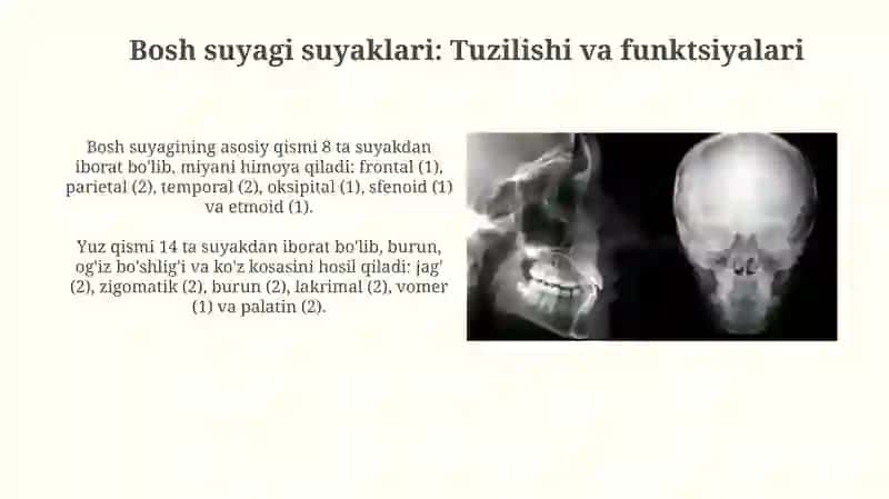 Kalla suyaklarining rentgenatomiyasi. Kalla suyagining yoshi va jinsiy tafovutlari 4