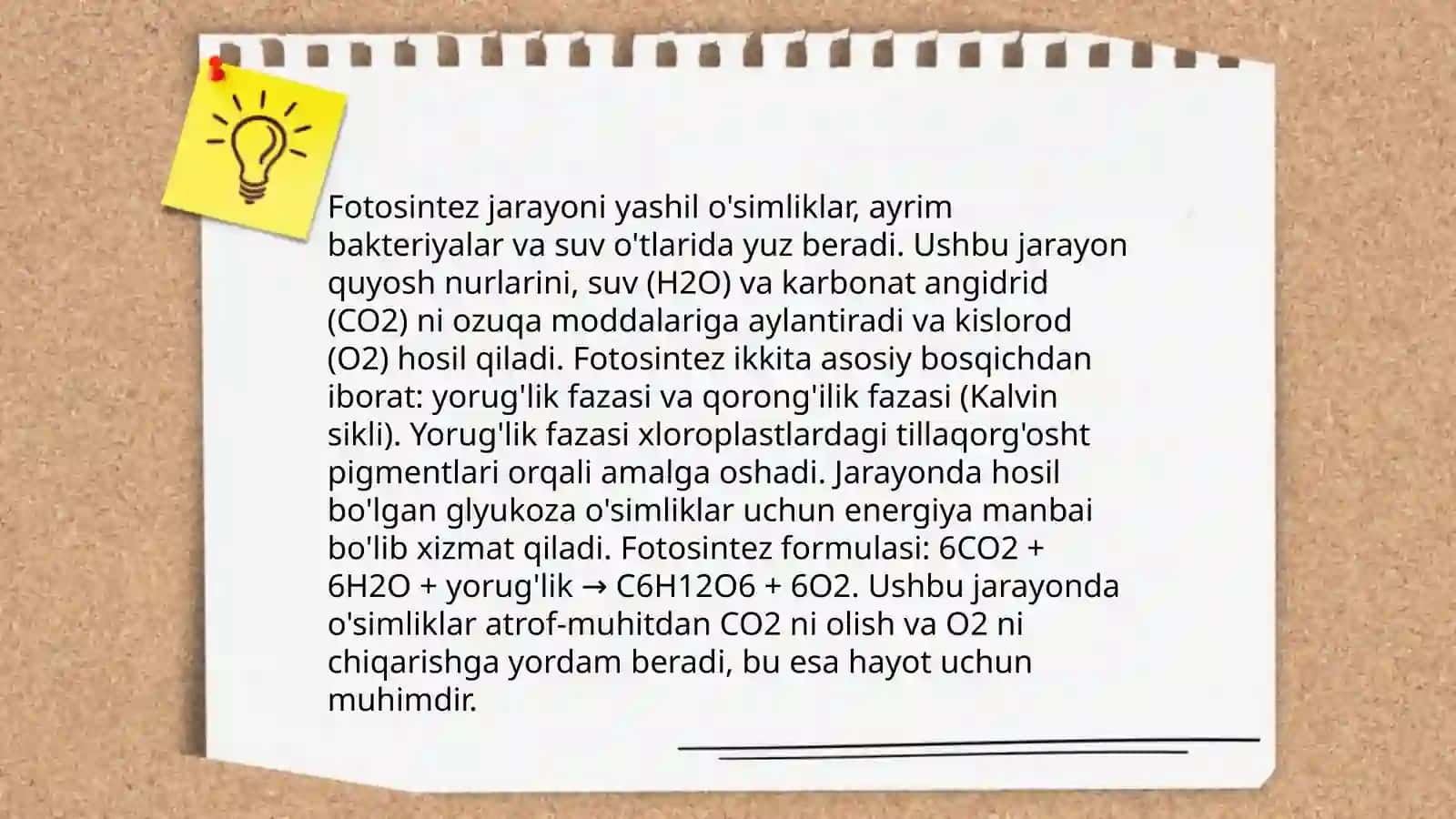 O'simliklar dunyosi 4