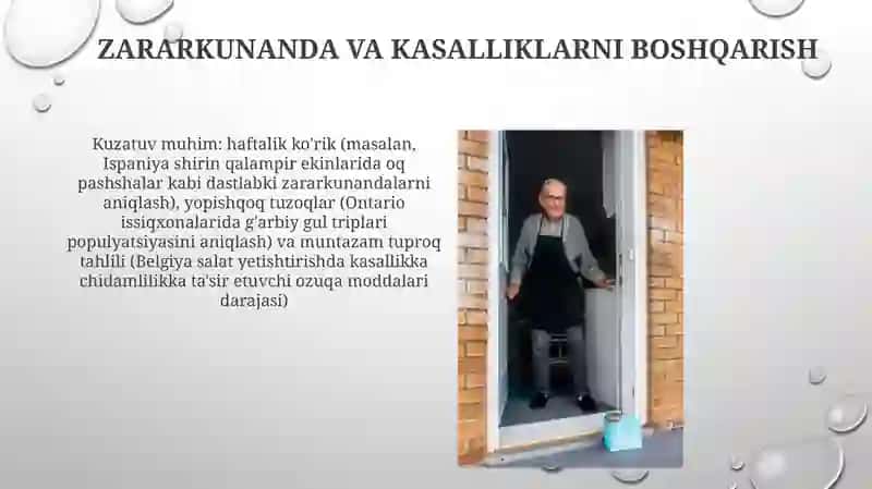 Tapiar usulida yaratilgan oʻsimliklarni parvarishlash 4