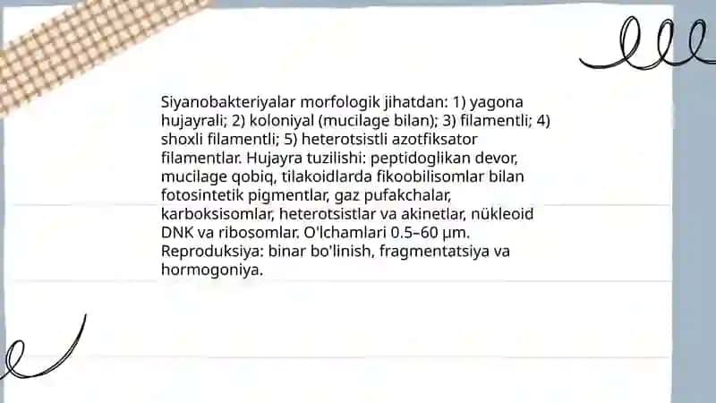 Koʻk yashil, sioanobakteriyalar, suv oʻtlarini umumiy tasnifi 4