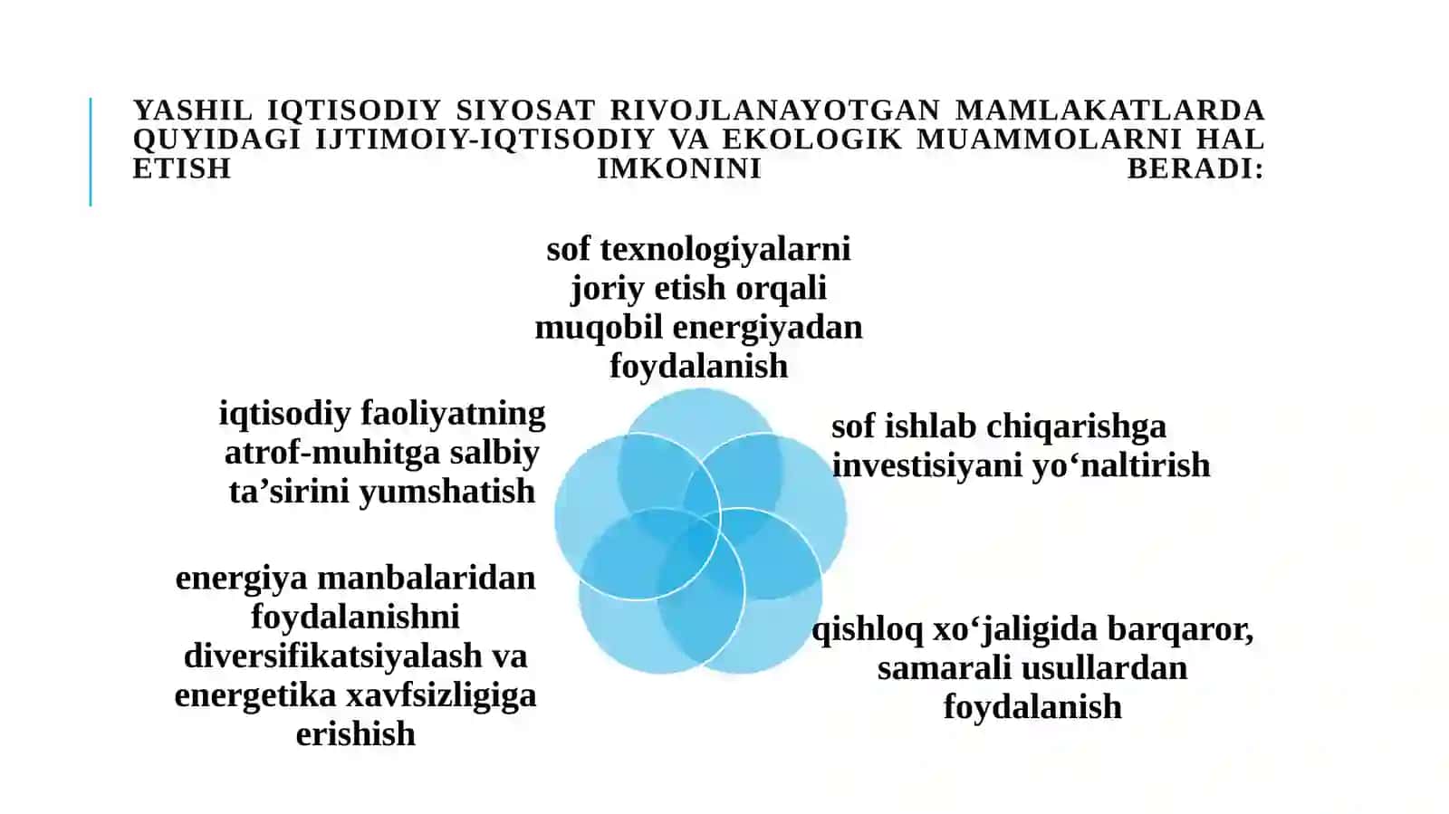 Yashil iqtisodiyotga o'tish tajribasi 4