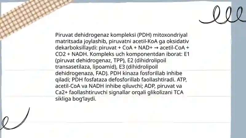 Katabolizmning umumiy yoʻllarini nafas olish zanjiri bilan bogʻliqligi 4
