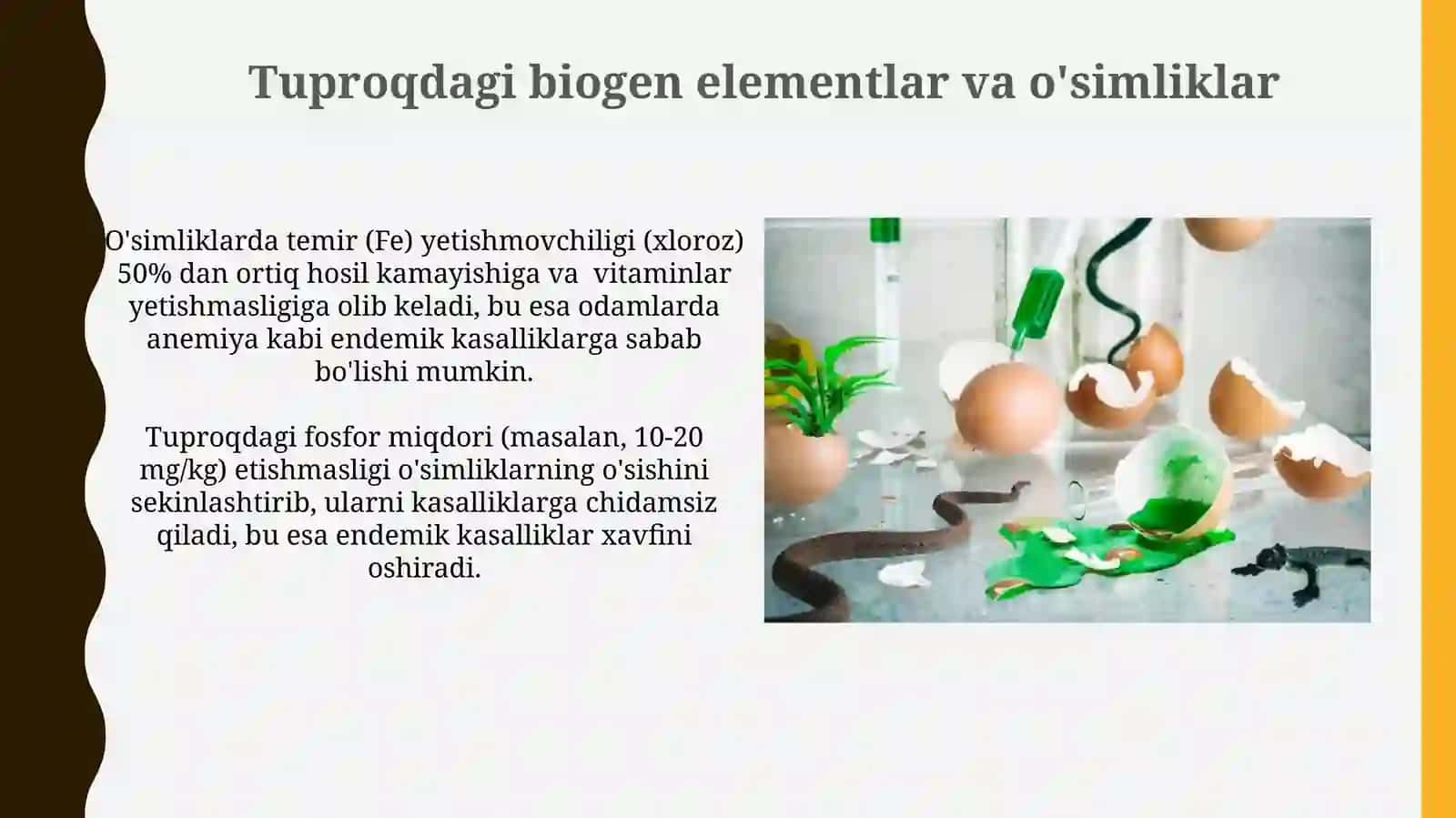 Biogen elementlar atrof muhitidagi elementlar konsentiratsiyasi bn bogʻliq endemik kasalliklar 4
