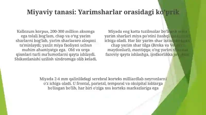 Miya yarim sharlari ve markazlari 4