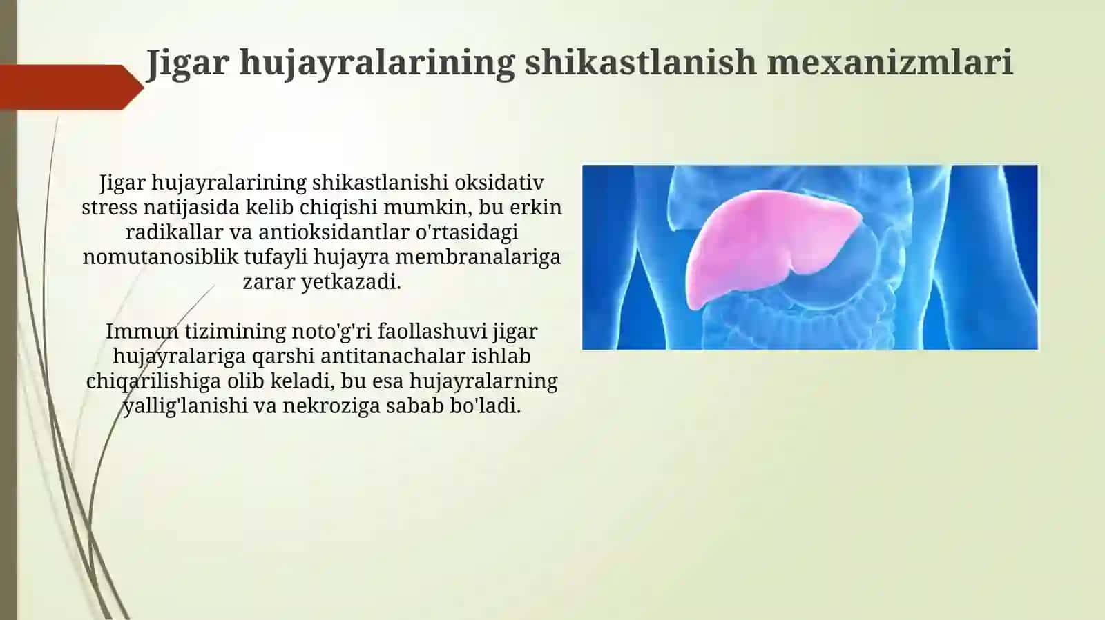Jigar-hujayra yetishmovchiligi, jigar komasi vujudga kelishining biokimyoviy mexanizmlari, tashxisi 4
