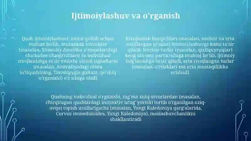 Qushlarning individual rivojlanish xususiyatlari 4