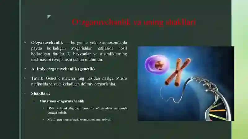 DNK OQSIL BIOSINTEZI BROLI OZGARUVCHANGLIK VA UNI SHAKLLARI.ISRIY VA IRSIY BO'LMAGAN O’ZGARUVCHANGLIK 4