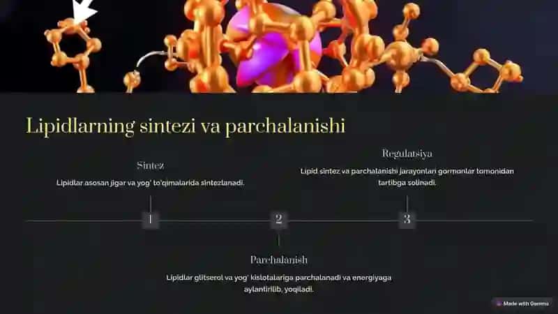 Lipidlar almashinuvi 4