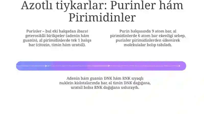 Nukleotidlerdin'du'zilisiha'mfunkciyasi 4