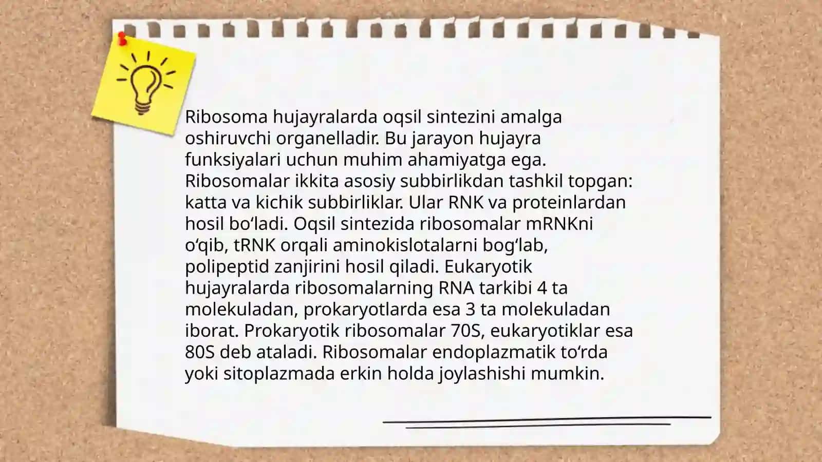 Ribasomaning mexano kimyoviy xususiyatlari 4