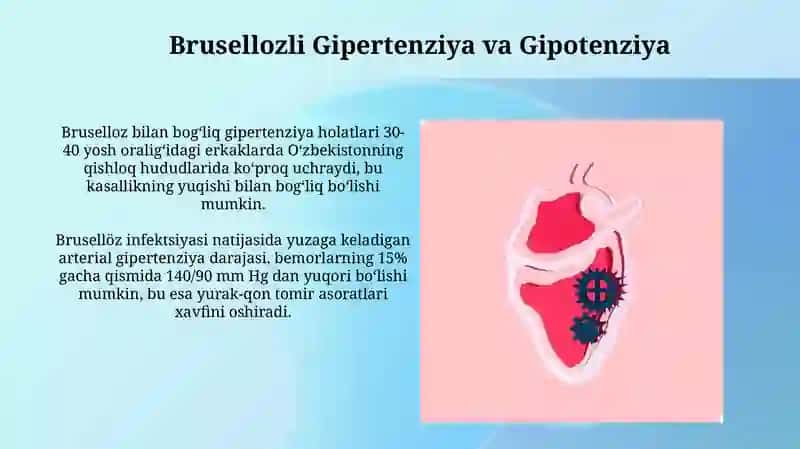 Brusellozdagi Yurak-Qon Tomir Asoratlari va Davolash 4