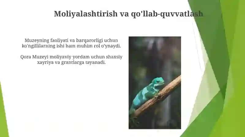 Qohira muzeyi 4