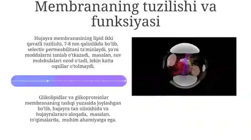 Tibbiy biologiya boʻyicha aktiv va passiv transport 4
