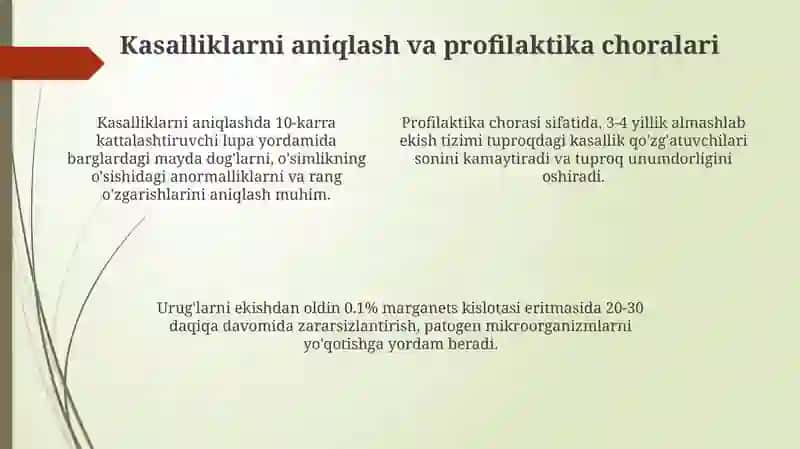 Sabzavot va turnip kasalliklarining umumiy ko'rinishi 4