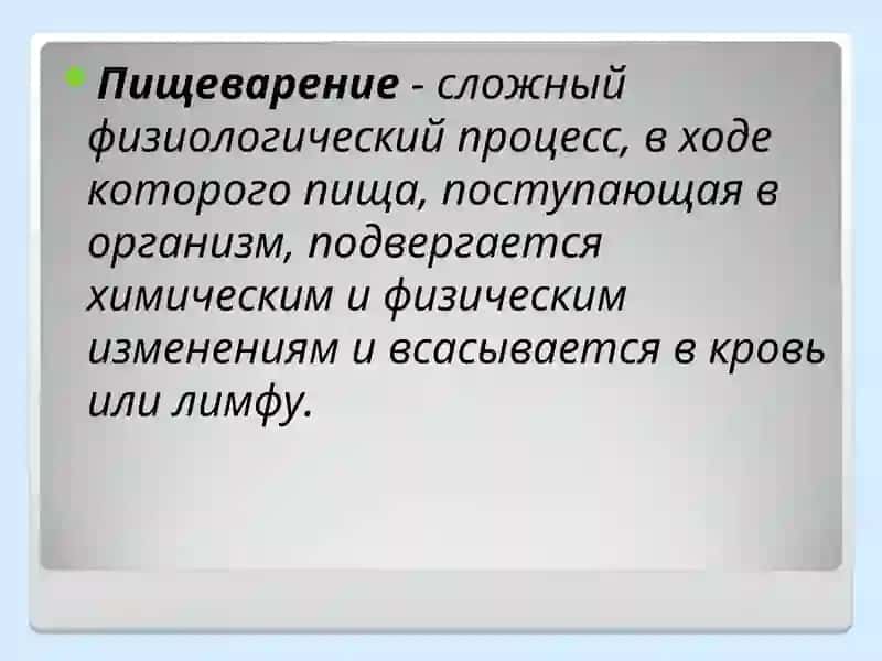 Строение и функции пищеварительной системы 4