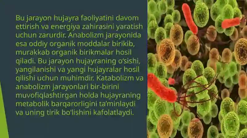 Tirik hujayralardagi hayotiy jarayonlar 4