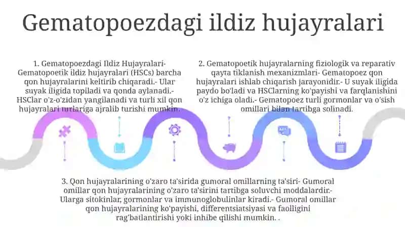 Qon Hujayralarining Fiziologik Va Reparativ Regeneratsiya Mexanizlari 4
