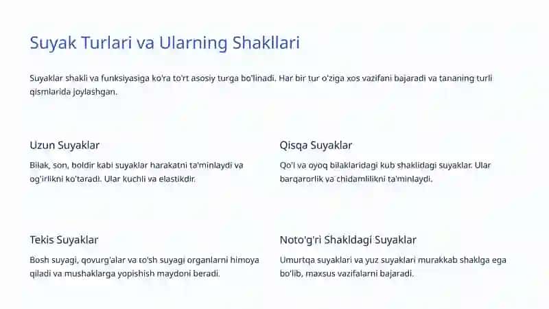 Skelet Tizimi: Inson Tanasi Asosiy Qo'llab-quvvatlovchi Tuzilishi 4