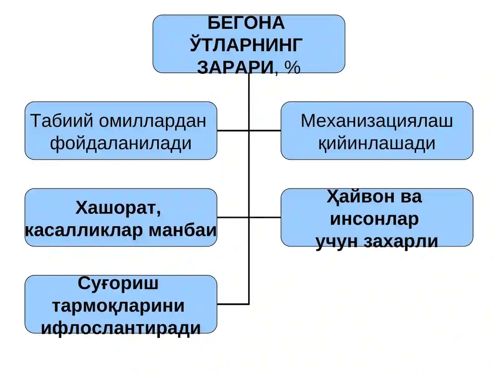БЕГОНА ЎТЛАР, УЛАРНИНГ ЗАРАРИ, БИОЛОГИЁВИЙ ХУСУСИЯТЛАРИ, СИНФЛАРИ 4