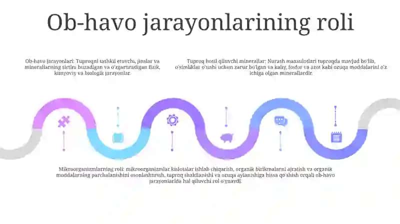 Тўпроқ Хосил Қилувчи Гўваксимон Нураш Маҳсулотлари 4