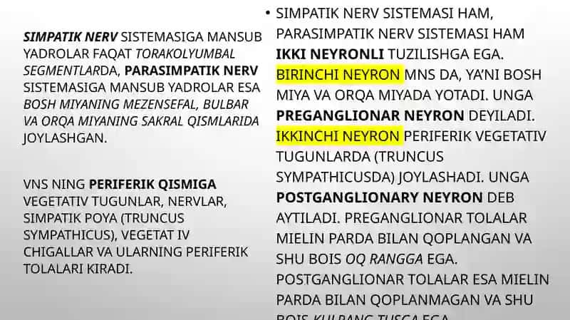 Vegetativ asab tizimining anatomiyasi va fiziologiyasi. 4